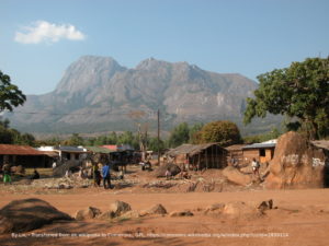 tea production